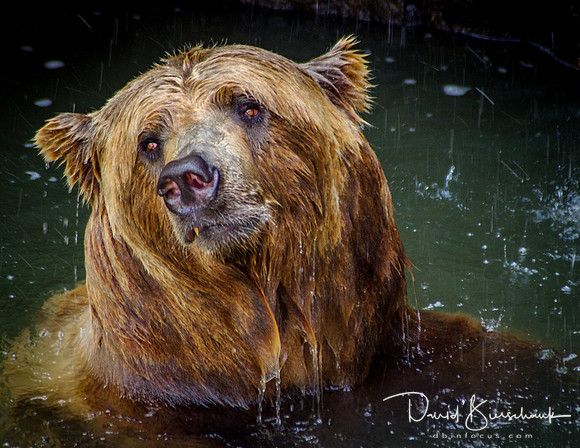 Bath time