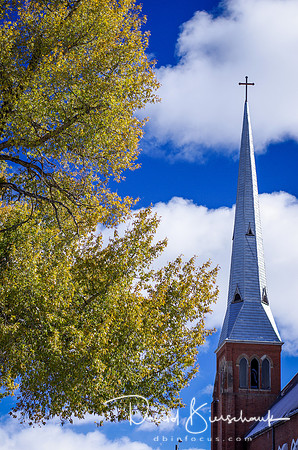 Steeple and Trees - Leadville CO
