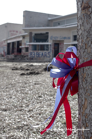 Remembering the Bears