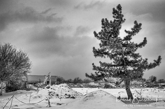 View from NE corner in  snow BW