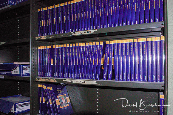 Lots of Novels