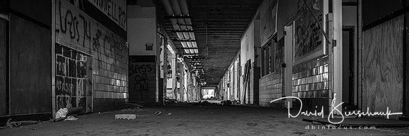 North hall as seen from Foryer