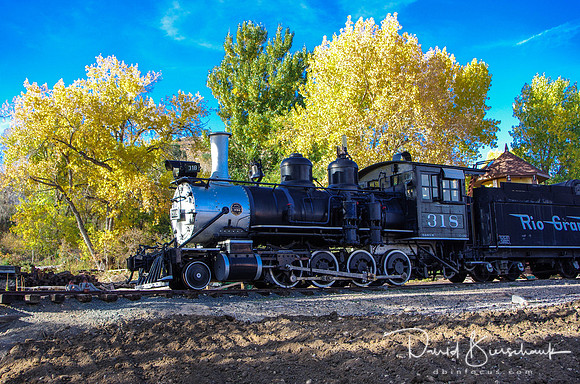 Steam Engin 318 Golden CO