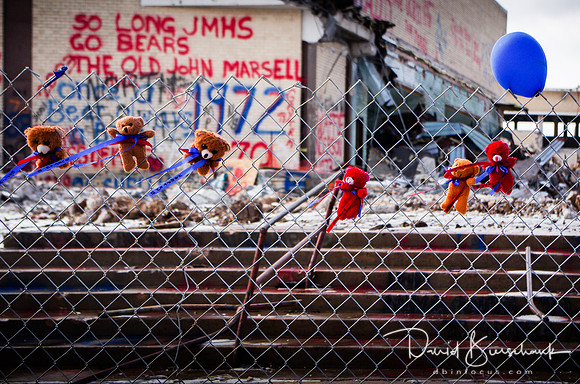Fence Bears