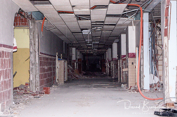 Looking South from the North end of the North Hall